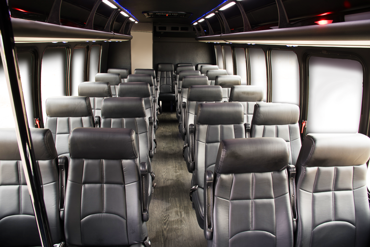 Broek barricade Vooravond Luxury Minicoach| 25 Passenger Charter Bus | Royal Excursion